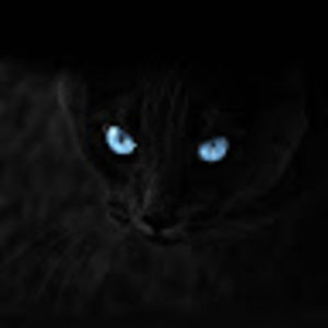 Meet your Posher, Celia